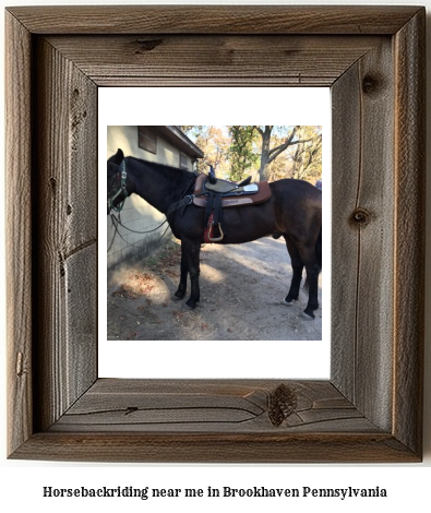 horseback riding near me in Brookhaven, Pennsylvania